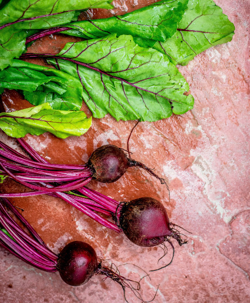 FORAGERS SOUP: CHUNKY 